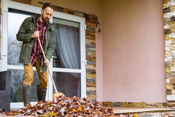Debris Removal in Bolivar, TN